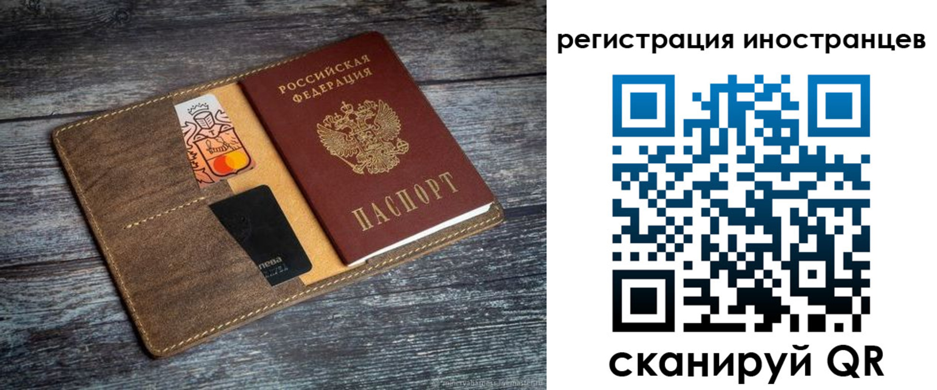 где прописаться в Светлогорске